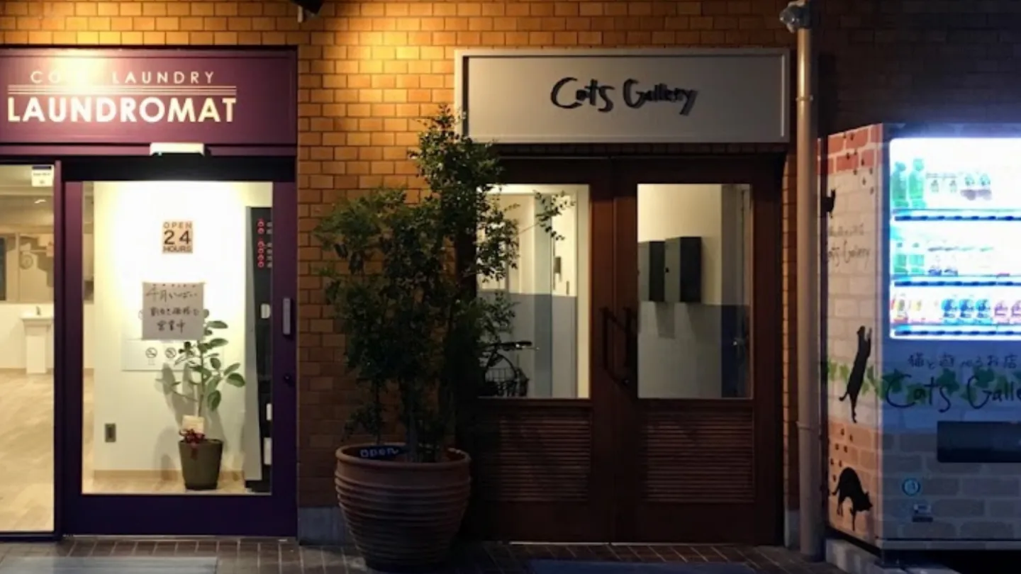 Cats Gallery店舗の写真