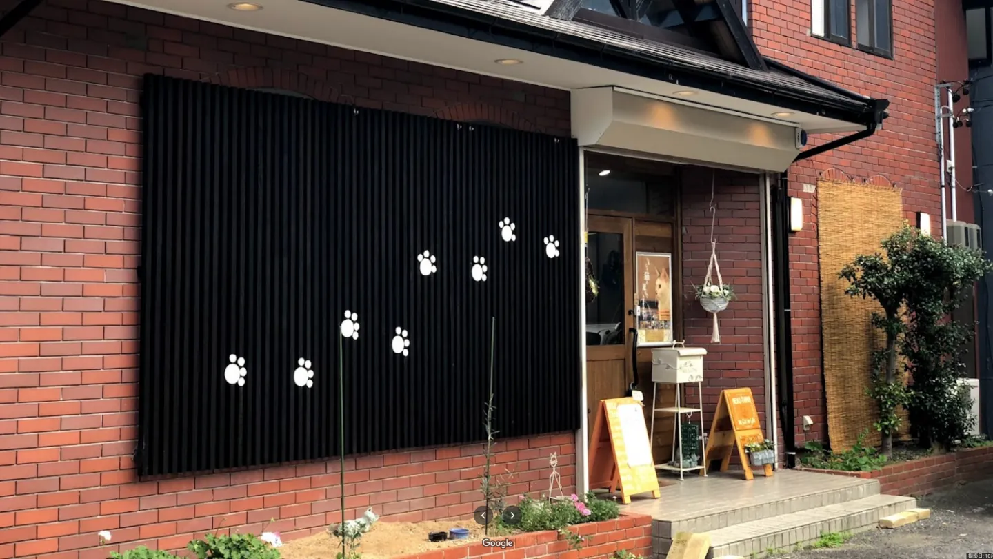 里親募集型保護猫カフェNEKOTAMA店舗の写真