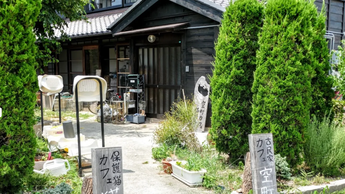 空町カフェ 保護猫カフェ猫待ち店舗の写真