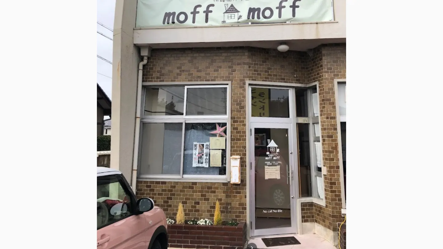 保護猫カフェmoff moff店舗の写真