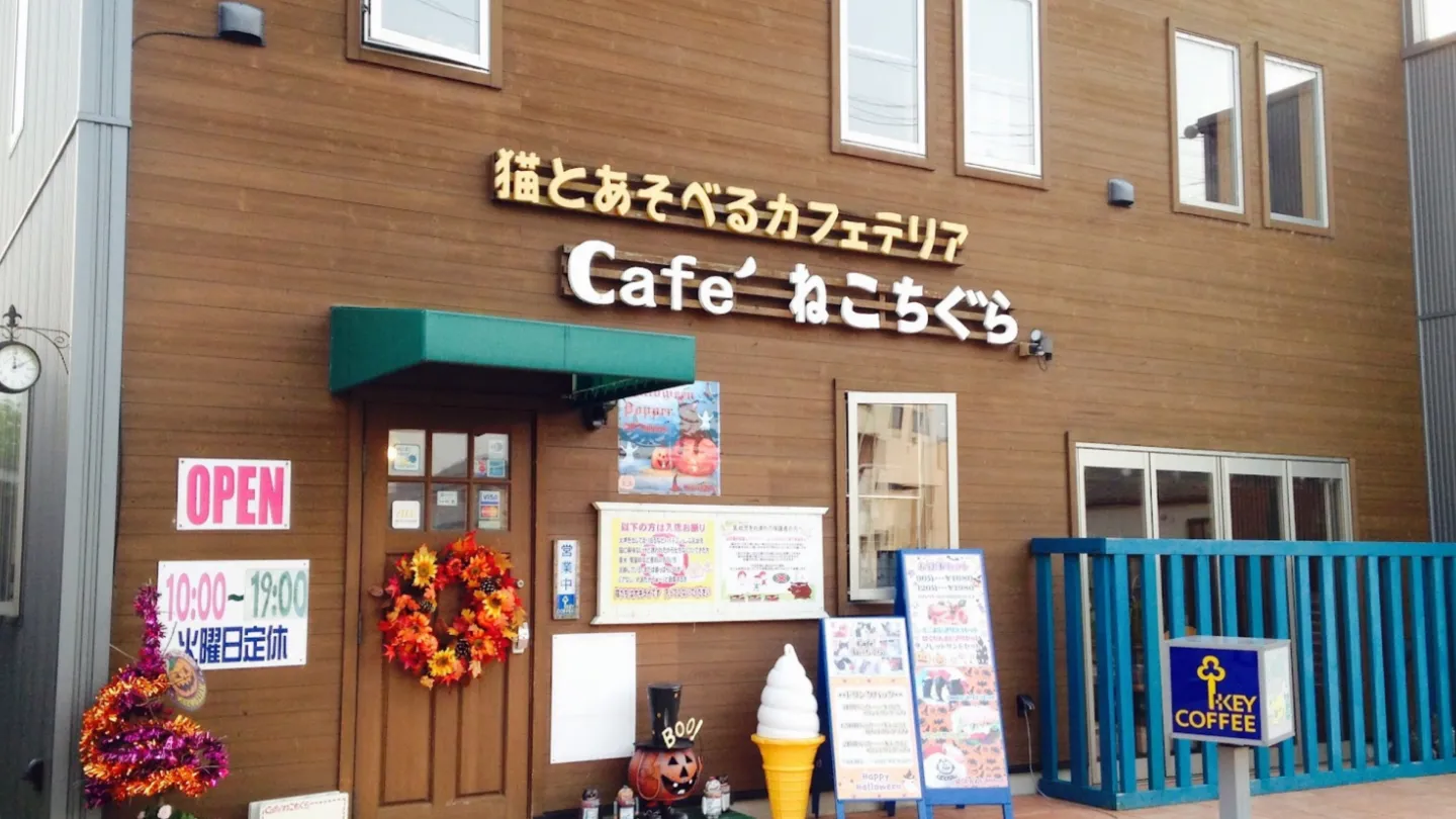 Cafe'ねこちぐら店舗の写真