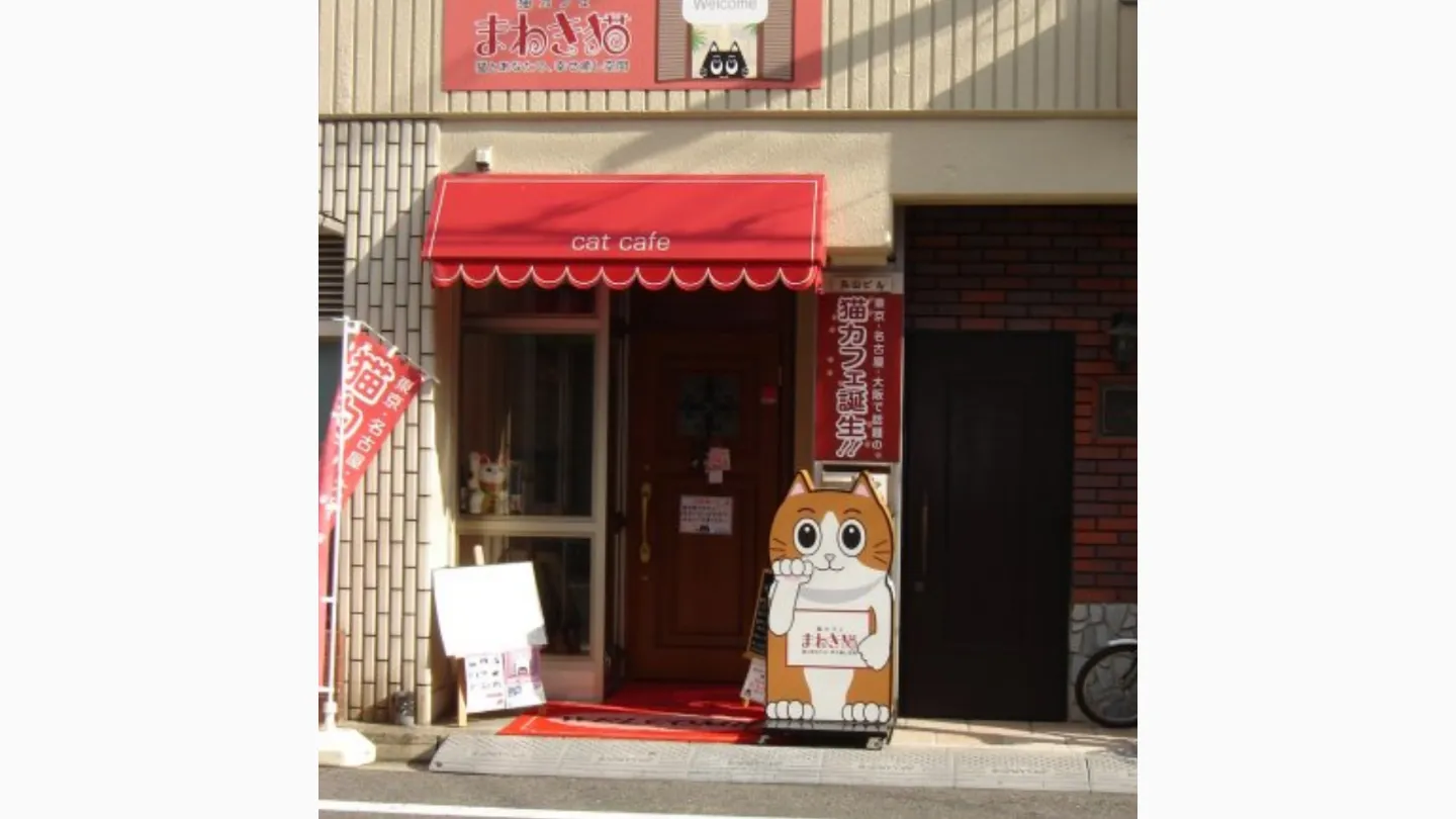 猫カフェまねき猫店舗の写真