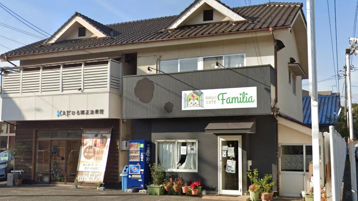 保護ねこcafe familia店舗の写真