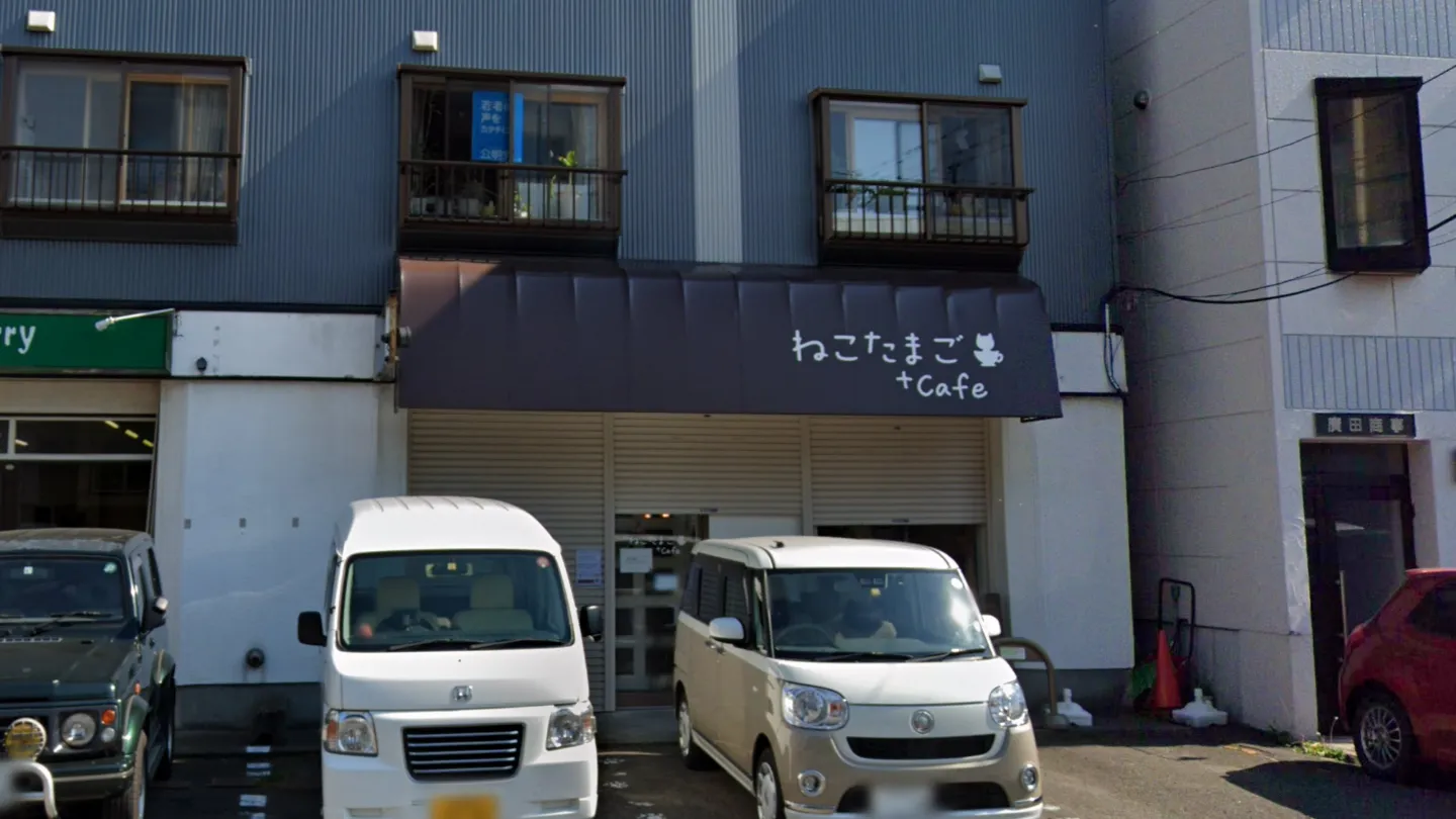 ねこたまご＋cafe店舗の写真