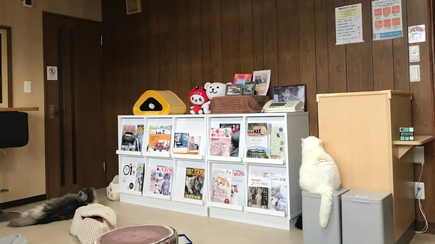 猫cafe宿くーちゃんの家店舗の写真