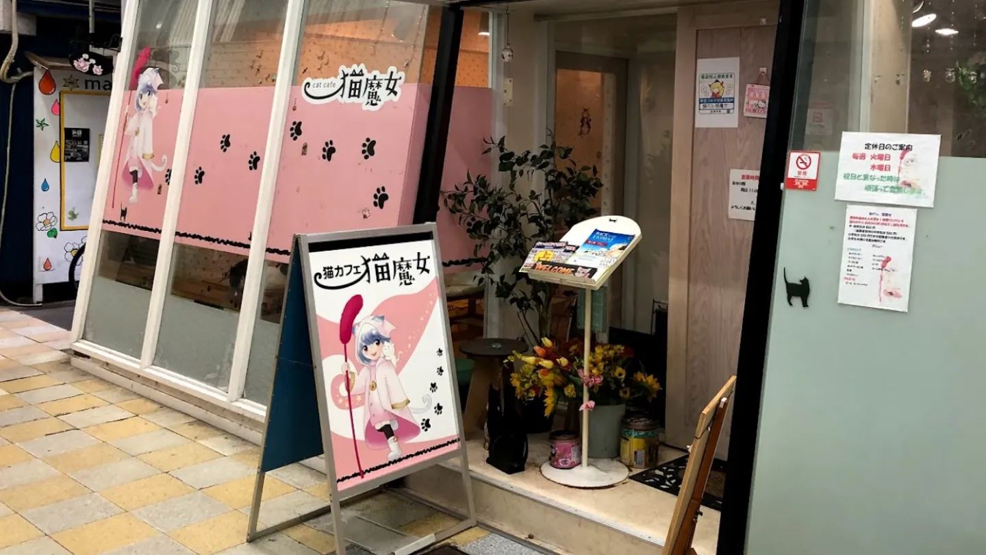 猫カフェ猫魔女店舗の写真