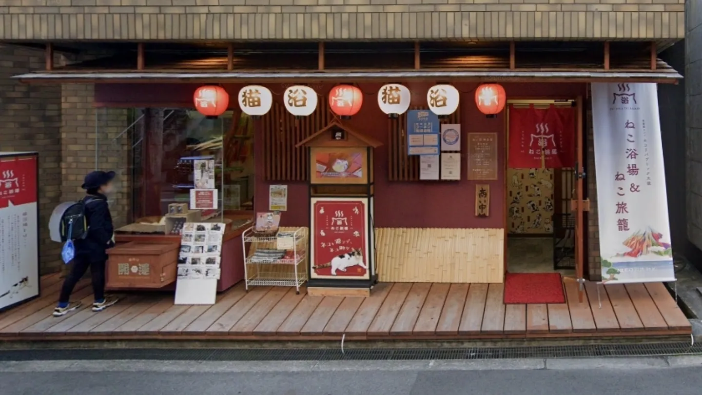 保護猫カフェリパブリック大阪店舗の写真