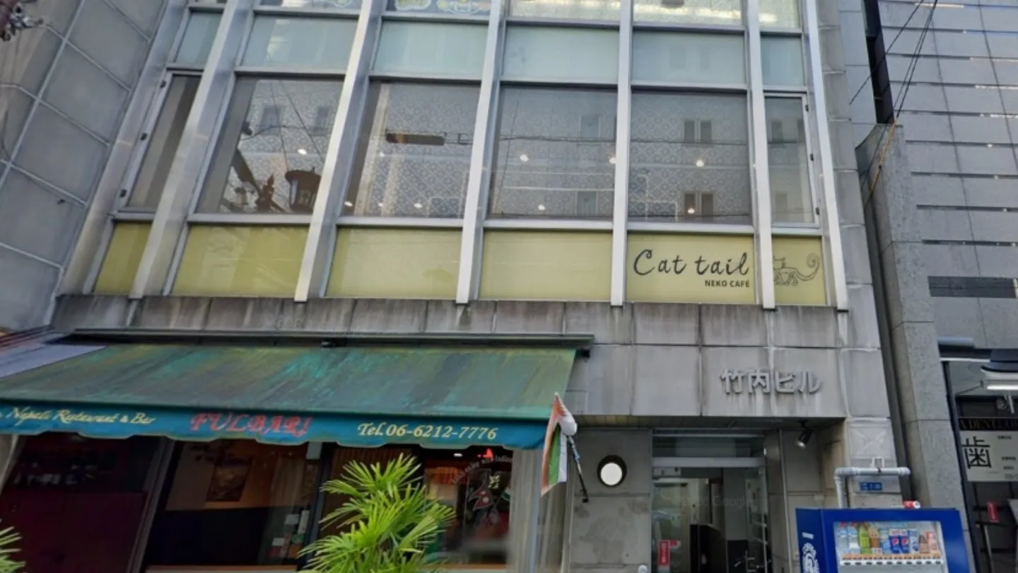 猫カフェCat tail店舗の写真