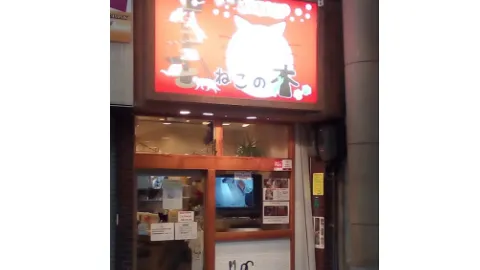 ねこの木店舗の写真