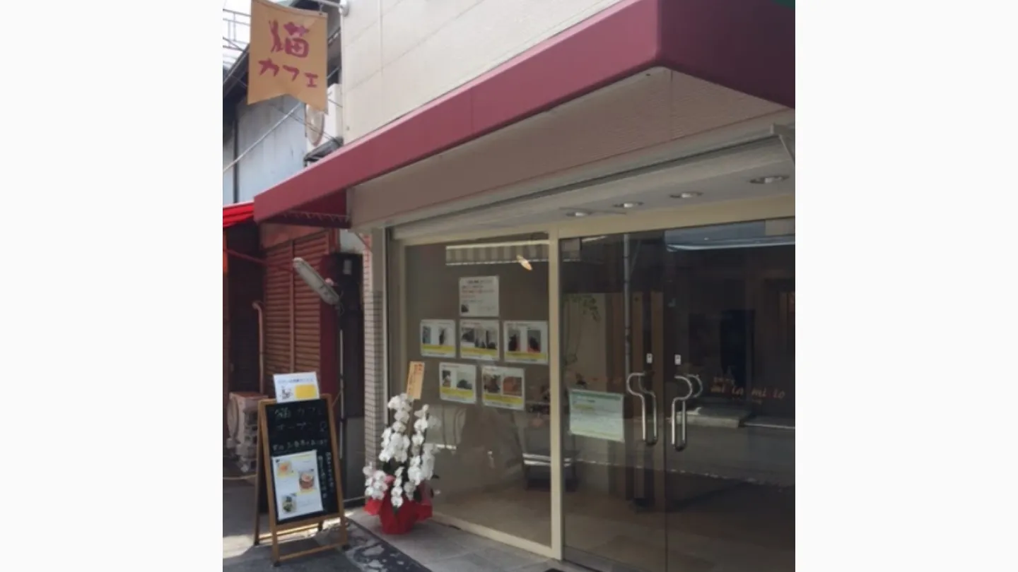 micia-micio店舗の写真