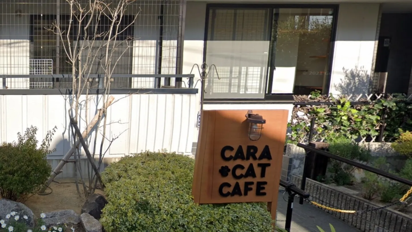 保護猫カフェCara Cat Cafe店舗の写真