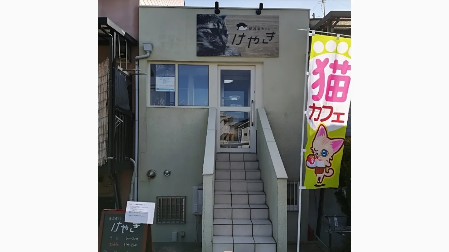 保護猫カフェけやき店舗の写真