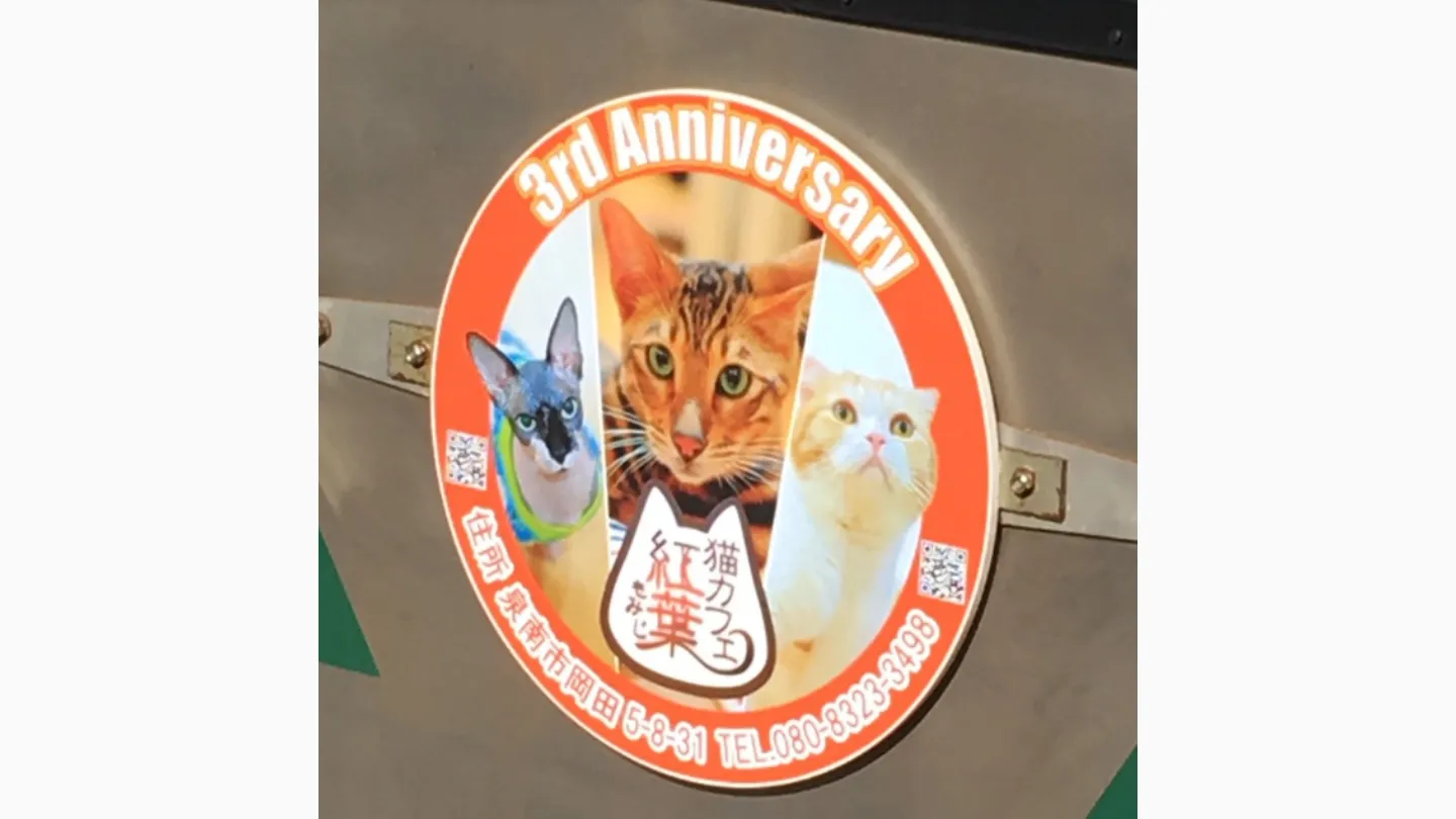 猫カフェ紅葉店舗の写真