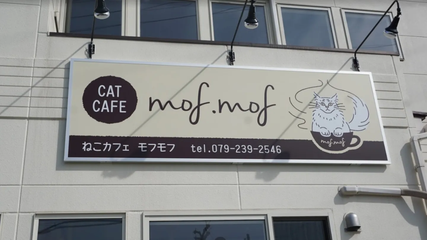 猫カフェmof.mof店舗の写真