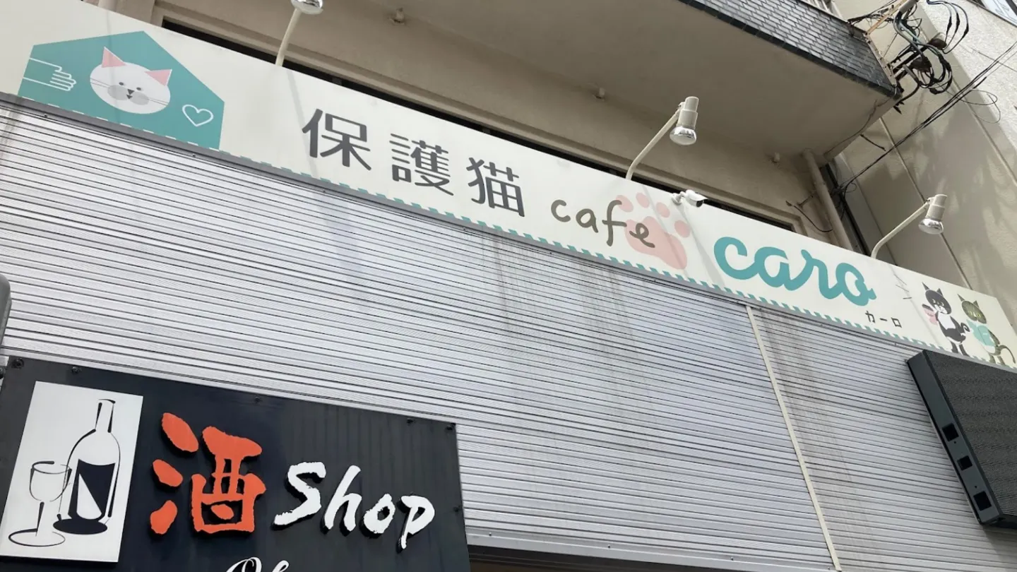 保護猫カフェ・カーロ店舗の写真