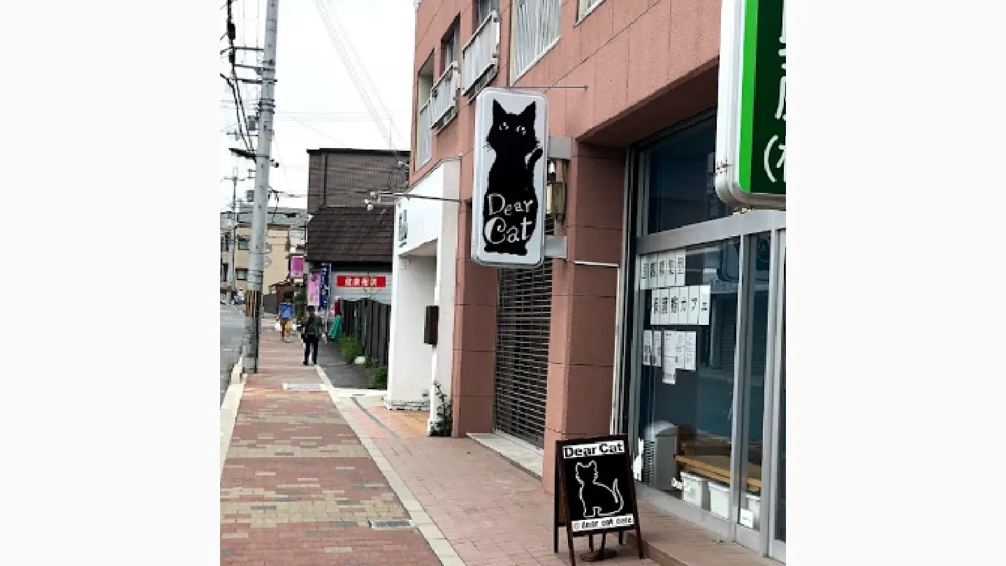 保護猫カフェDear Cat店舗の写真