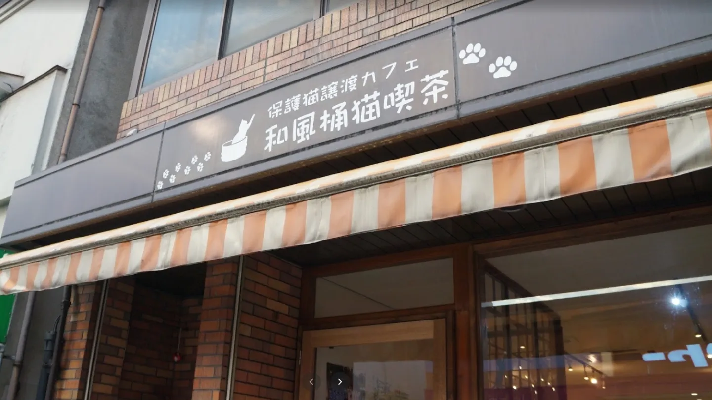 和風桶猫喫茶店舗の写真