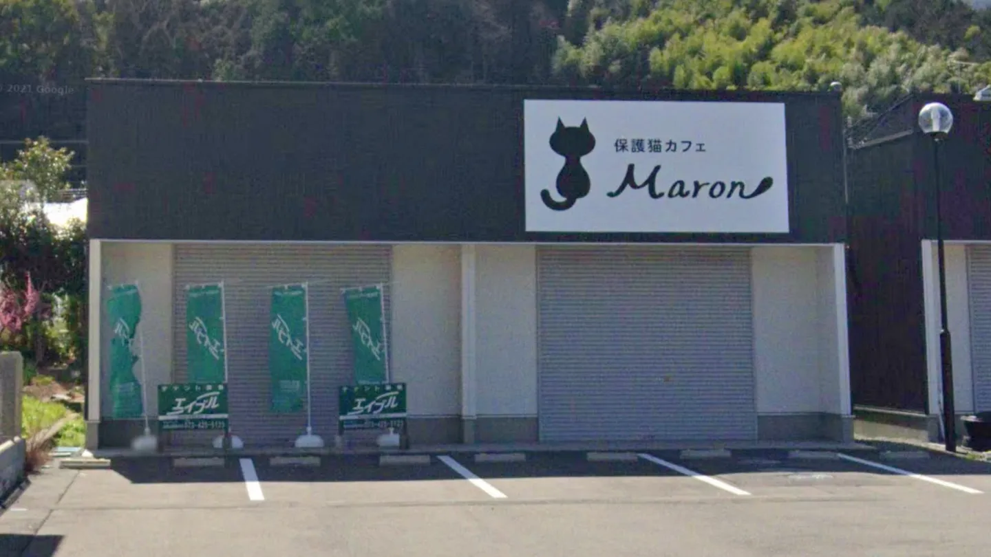 保護猫カフェMaron店舗の写真