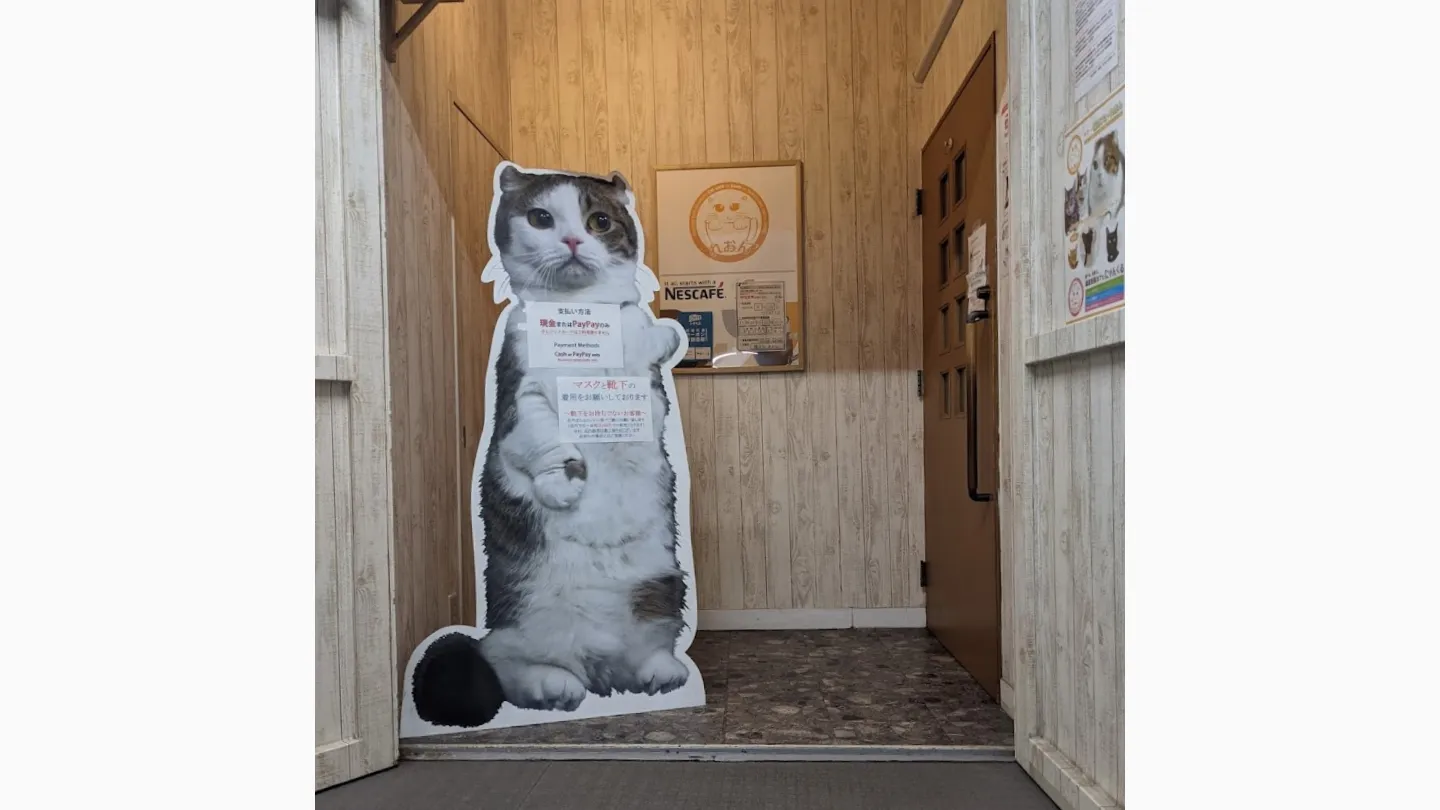 猫カフェれおん店舗の写真