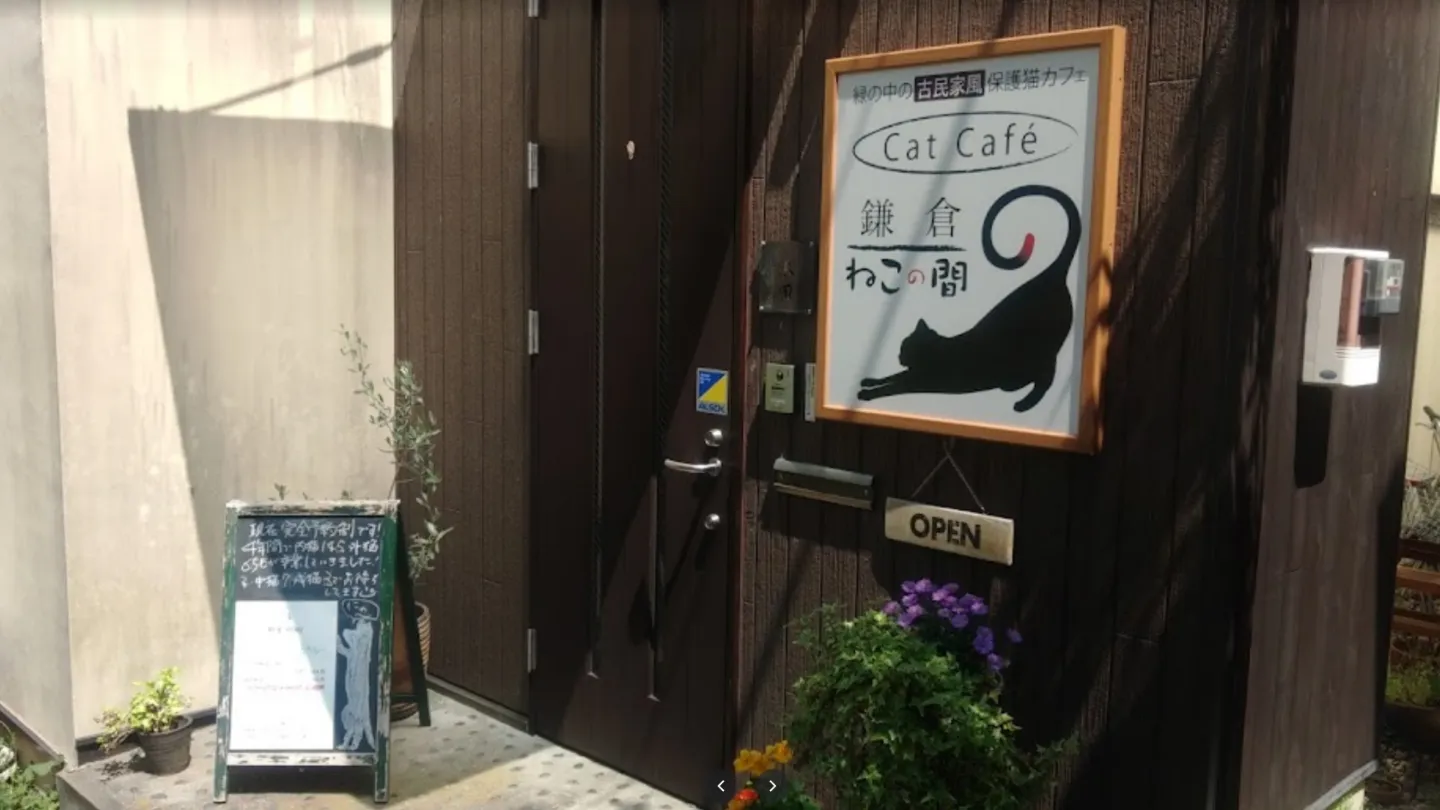 鎌倉ねこの間店舗の写真