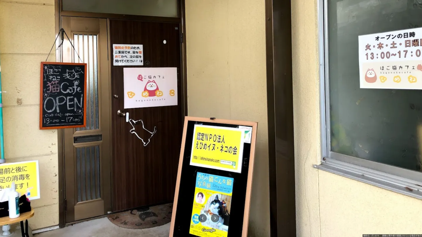 保護猫カフェひめねこ店舗の写真