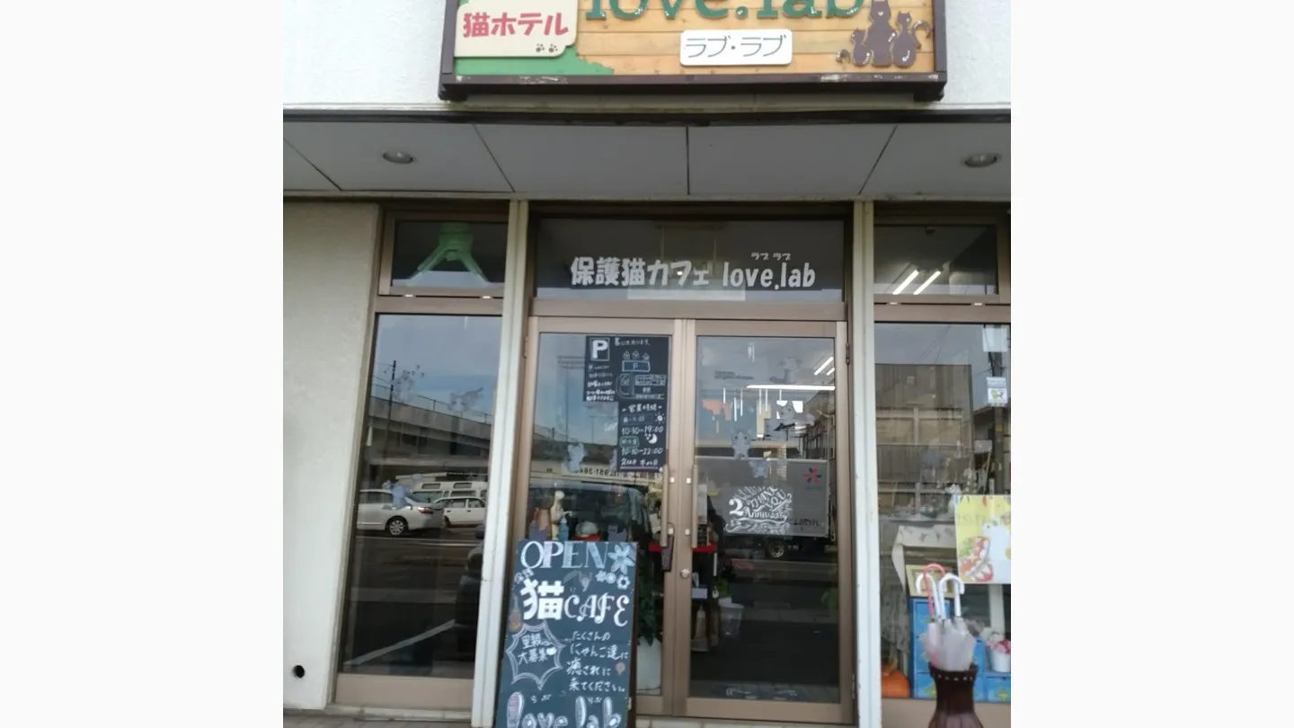 保護猫カフェlove.lab店舗の写真