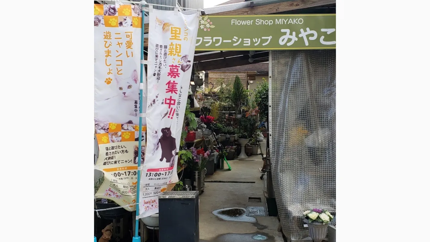 保護ねこ広場ラブとハッピー店舗の写真