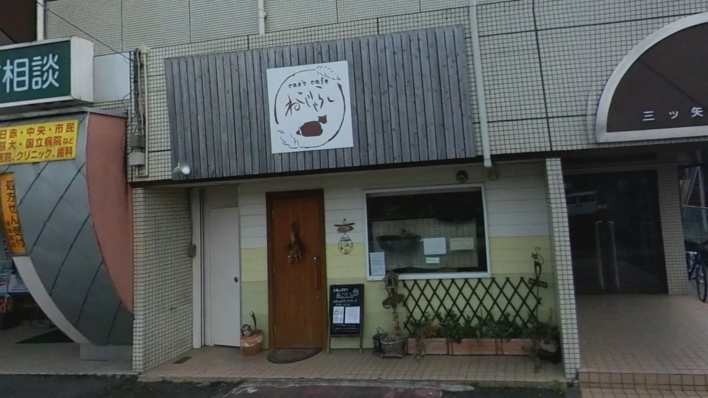 cat's cafe ねこじゃらし店舗の写真