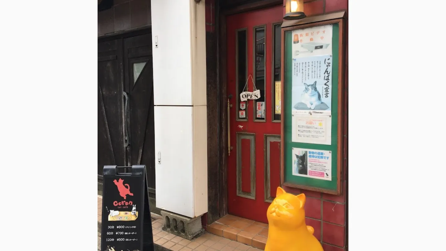 猫カフェコロン店舗の写真